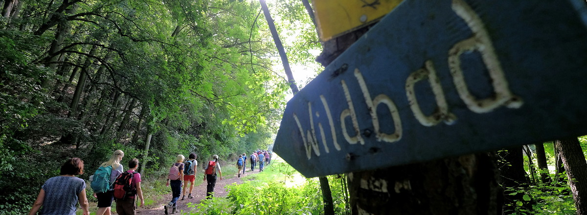 Wildbad &ndash;  (11.08.2019, &copy;&nbsp;Michael Kronau)