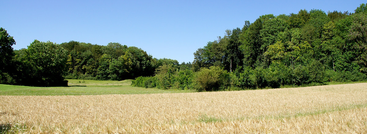 Fünf-Seidla-Steig®: Near to Thuisbrunn &ndash;  (VGN &copy;&nbsp;VGN GmbH)