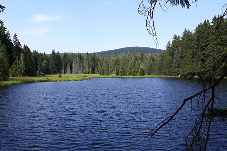 Fichtelsee im Sommer &ndash; (17.08.2018, VGN &copy;&nbsp;VGN GmbH)