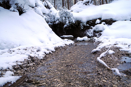 Am Wegesrand &ndash; (VGN &copy;&nbsp;VGN GmbH)