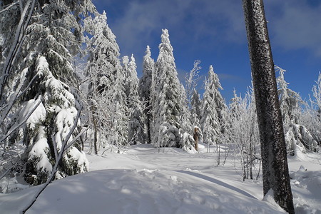 Eiswelten am Ochsenkopf &ndash; Winter extrem – Im Fichtelgebirge fällt die kalte Jahreszeit meist deutlich heftiger aus als im sonstigen VGN-Gebiet (VGN &copy;&nbsp;VGN GmbH)