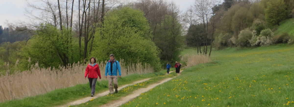 Im Tal der Weißen Laber &ndash;  (14.02.2017, VGN &copy;&nbsp;VGN GmbH)