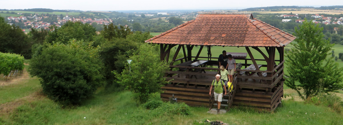 Weinhalla &ndash;  (01.08.2016, VGN &copy;&nbsp;VGN GmbH)