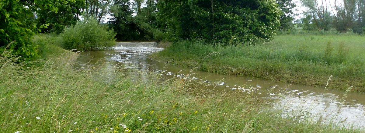 Entlang der Itz &ndash;  (15.06.2013, VGN &copy;&nbsp;VGN GmbH)