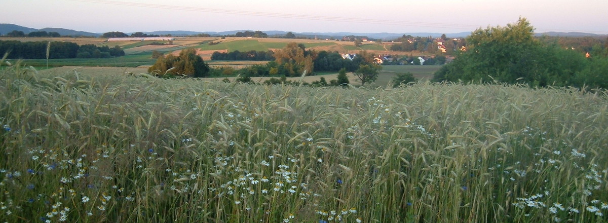 Feld &ndash;  (01.10.2015, VGN &copy;&nbsp;VGN GmbH)