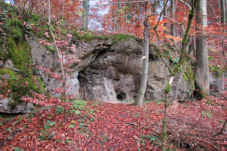 Jurafelsen im Herbst &ndash; (VGN &copy;&nbsp;VGN GmbH)