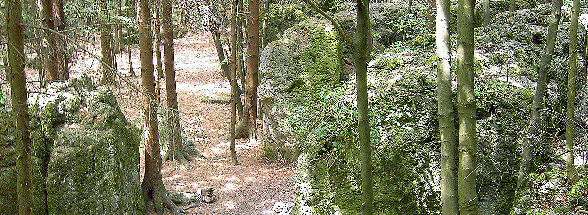 Unterwegs in der Fränkischen &ndash;  (VGN &copy;&nbsp;VGN GmbH)