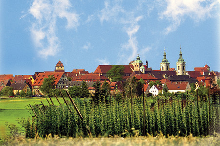 Spalt - Ansicht mit Hopfen &ndash; (TI Spalt &copy;&nbsp;TI Spalt)