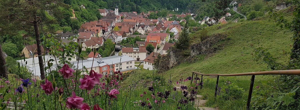 Weg von der Bergwachthütte hinab nach Pottenstein &ndash;  (26.05.2020, S. Dassler &copy;&nbsp;VGN GmbH)