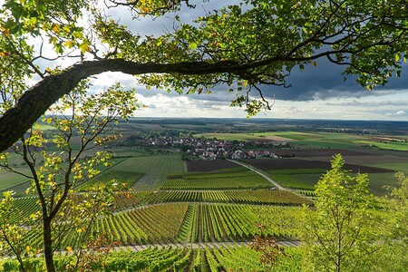 Weinland &ndash; (12.10.2020, U. Büscher &copy;&nbsp;VGN GmbH)