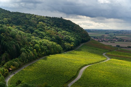 Weinland &ndash; (12.10.2020, U. Büscher &copy;&nbsp;VGN GmbH)