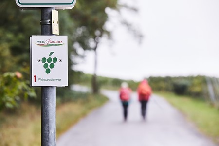 Weinparadiesweg &ndash; (26.09.2021, Andrea Gaspar-Klein &copy;&nbsp;VGN GmbH)