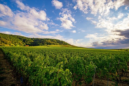 Tannenberg &ndash; (12.10.2020, U. Büscher &copy;&nbsp;VGN GmbH)