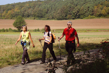 Im Daschendorfer Forst &ndash; (VGN, Stadt Bamberg, Markt Zapfendorf &copy;&nbsp;VGN GmbH, Stadt Bamberg, Markt Zapfendorf)