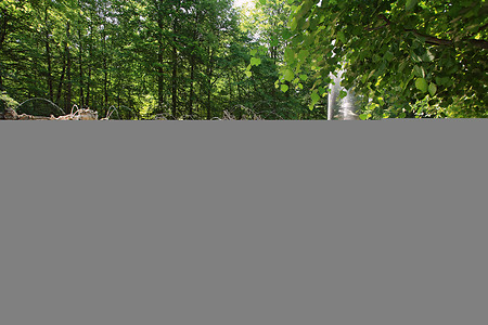 Untere Grotte Hofgarten Eremitage Bayreuth &ndash; (24.04.2018, Thomas Köhler, Bayreuth &copy;&nbsp;Bayerische Schlösserverwaltung)