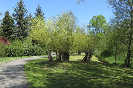 Farbenspiel Titelfoto &ndash; (18.06.2016, schreibwerk &copy;&nbsp;schreibwerk)