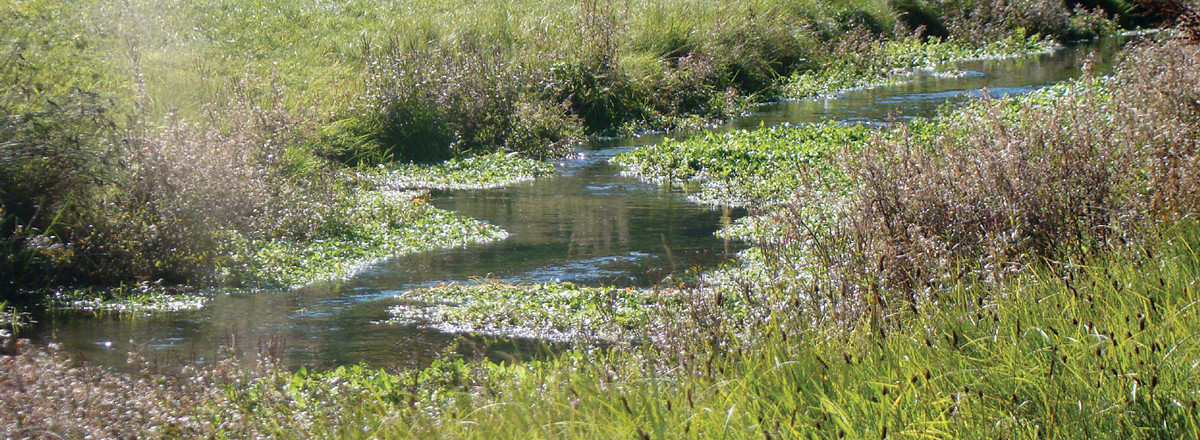 Der Kerschbach bei Darshofen &ndash;  (VGN &copy;&nbsp;VGN GmbH)