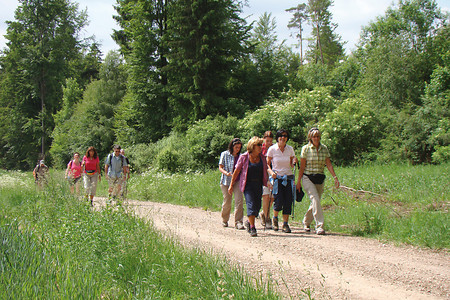 Wandergruppe vor Poppberg &ndash; (VGN &copy;&nbsp;VGN GmbH)