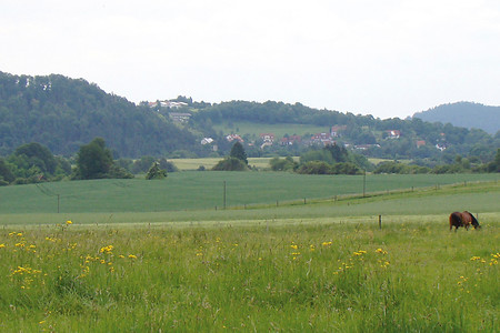 Ausblick über die Kuhweiden &ndash; (VGN &copy;&nbsp;VGN GmbH)