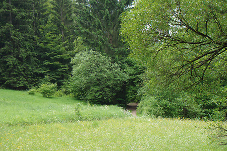 Am Waldrand &ndash; (VGN &copy;&nbsp;VGN GmbH)