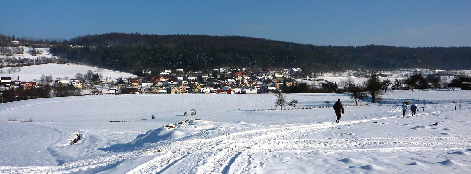 Auf Kainsbach zu &ndash;  (30.01.2011, VGN &copy;&nbsp;VGN GmbH)
