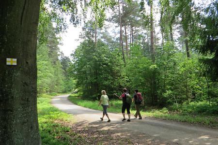 Richtung Heroldsberg &ndash; (26.05.2016, VGN &copy;&nbsp;VGN GmbH)