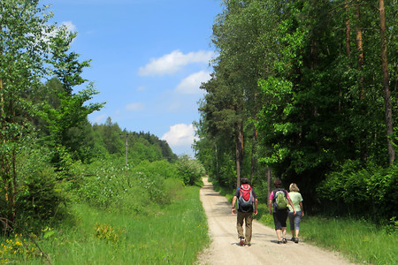 Hinauf zum Haidberg &ndash; (26.05.2016, VGN &copy;&nbsp;VGN GmbH)