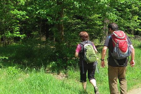 Abzweig &ndash; (26.05.2016, VGN &copy;&nbsp;VGN GmbH)