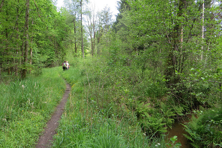 Entlang der Gräben &ndash; (26.05.2016, VGN &copy;&nbsp;VGN GmbH)