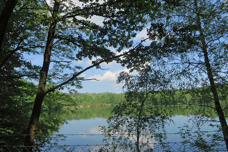 Zapfweiher &ndash; (26.05.2016, VGN &copy;&nbsp;VGN GmbH)