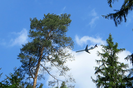 Zwischen den Bäumen &ndash; (26.05.2016, VGN &copy;&nbsp;VGN GmbH)