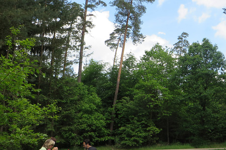 Rastplatz &ndash; (26.05.2016, VGN &copy;&nbsp;VGN GmbH)