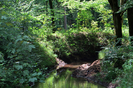 Langwassergraben &ndash; (26.05.2016, VGN &copy;&nbsp;VGN GmbH)