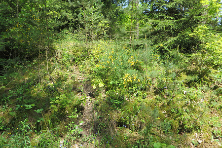 Am Wegesrand &ndash; (26.05.2016, VGN &copy;&nbsp;VGN GmbH)