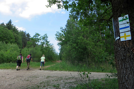 Kurzer Anstieg &ndash; (26.05.2016, VGN &copy;&nbsp;VGN GmbH)