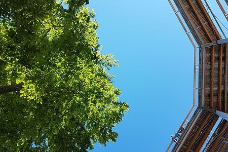 Blick nach oben &ndash; (05.06.2018, S. Dassler &copy;&nbsp;VGN GmbH)