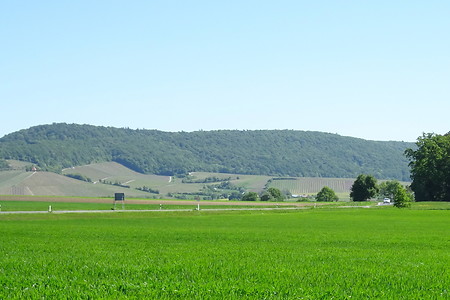 Hügellandschaft &ndash; (05.06.2018, S. Dassler &copy;&nbsp;VGN GmbH)