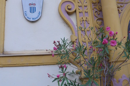 Seinsh. Schloß Marktbreit &ndash; (04.02.2019, G. Härer &copy;&nbsp;G. Härer)