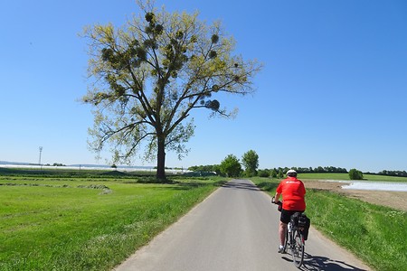 Radeln &ndash; (05.06.2018, S. Dassler &copy;&nbsp;VGN GmbH)