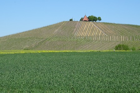 Landschaft &ndash; (05.06.2018, S. Dassler &copy;&nbsp;VGN GmbH)