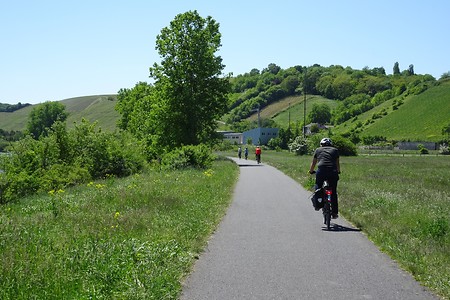 Radweg &ndash; (05.06.2018, S. Dassler &copy;&nbsp;VGN GmbH)