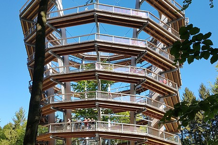 Baumwipfelpfad &ndash; (05.06.2018, S. Dassler &copy;&nbsp;VGN GmbH)