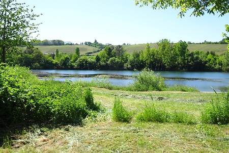 Landschaftsidylle &ndash; (05.06.2018, S. Dassler &copy;&nbsp;VGN GmbH)