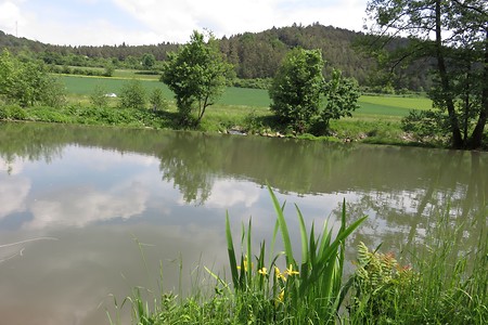 Weg nach Schmidmühlen &ndash; (21.08.2015, schreibwerk &copy;&nbsp;schreibwerk)