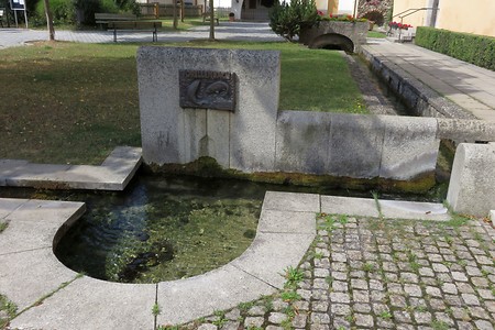 Quelle Forellenbach &ndash; (21.08.2015, schreibwerk &copy;&nbsp;schreibwerk)