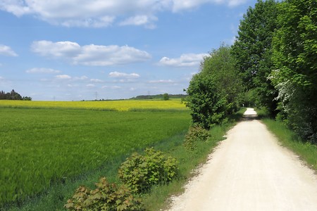 Weg nach Amberg &ndash; (21.08.2015, schreibwerk &copy;&nbsp;schreibwerk)