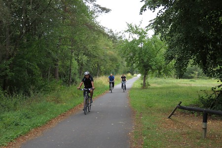 Weg nach Amberg bei Theuern &ndash; (21.08.2015, schreibwerk &copy;&nbsp;schreibwerk)