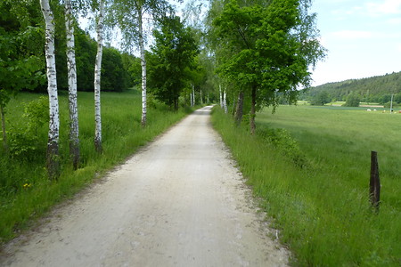 Radfahrweg als Allee &ndash; (28.05.2016, VGN &copy;&nbsp;VGN GmbH)