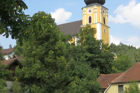 Weg nach Schmidmühlen Dietldorf &ndash; (21.08.2015, schreibwerk &copy;&nbsp;schreibwerk)