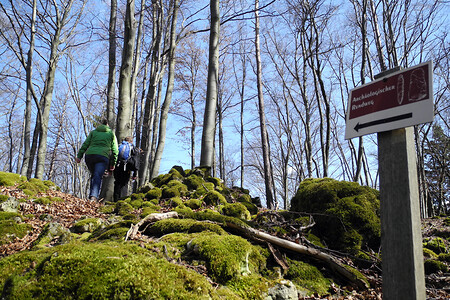 Archäologischer Rundweg auf dem Hochberg &ndash; (VGN &copy;&nbsp;VGN GmbH)
